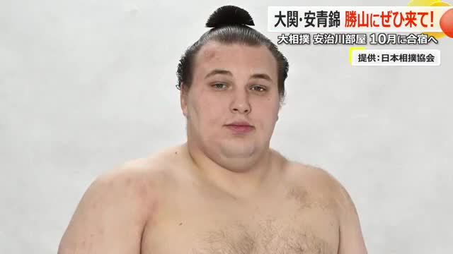 ウクライナ出身の大関・安青錦に会えるかも…この秋、安治川部屋が勝山